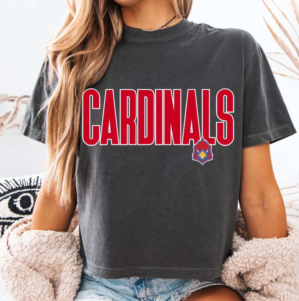 Home Team Boxy Crop Tee.