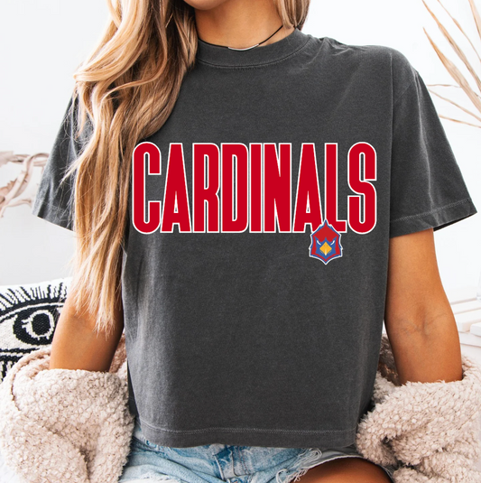 Home Team Boxy Crop Tee.